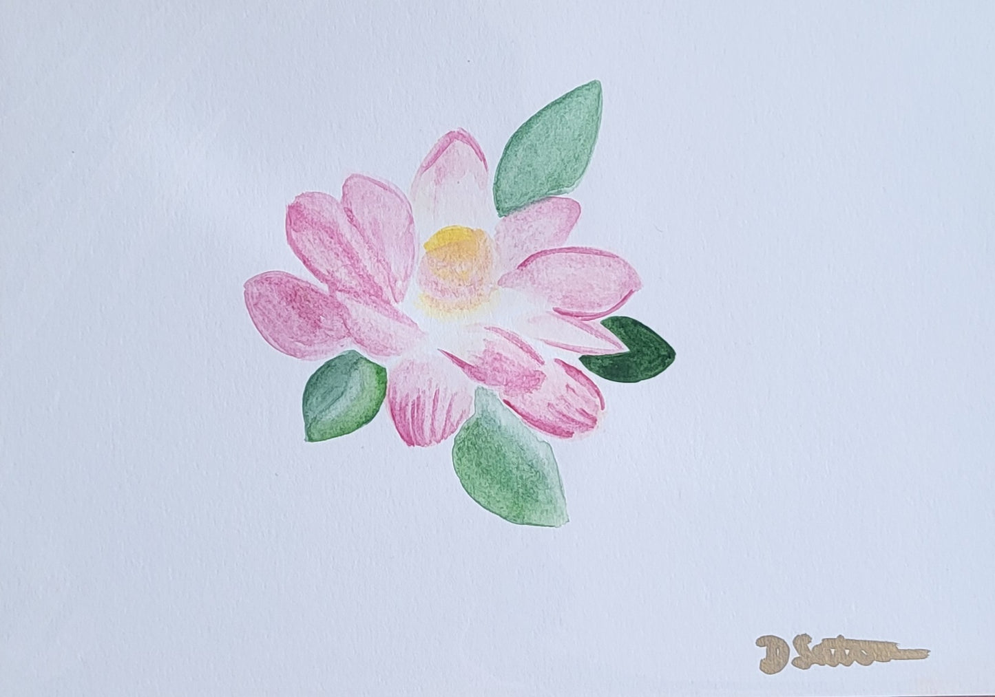 Lotus