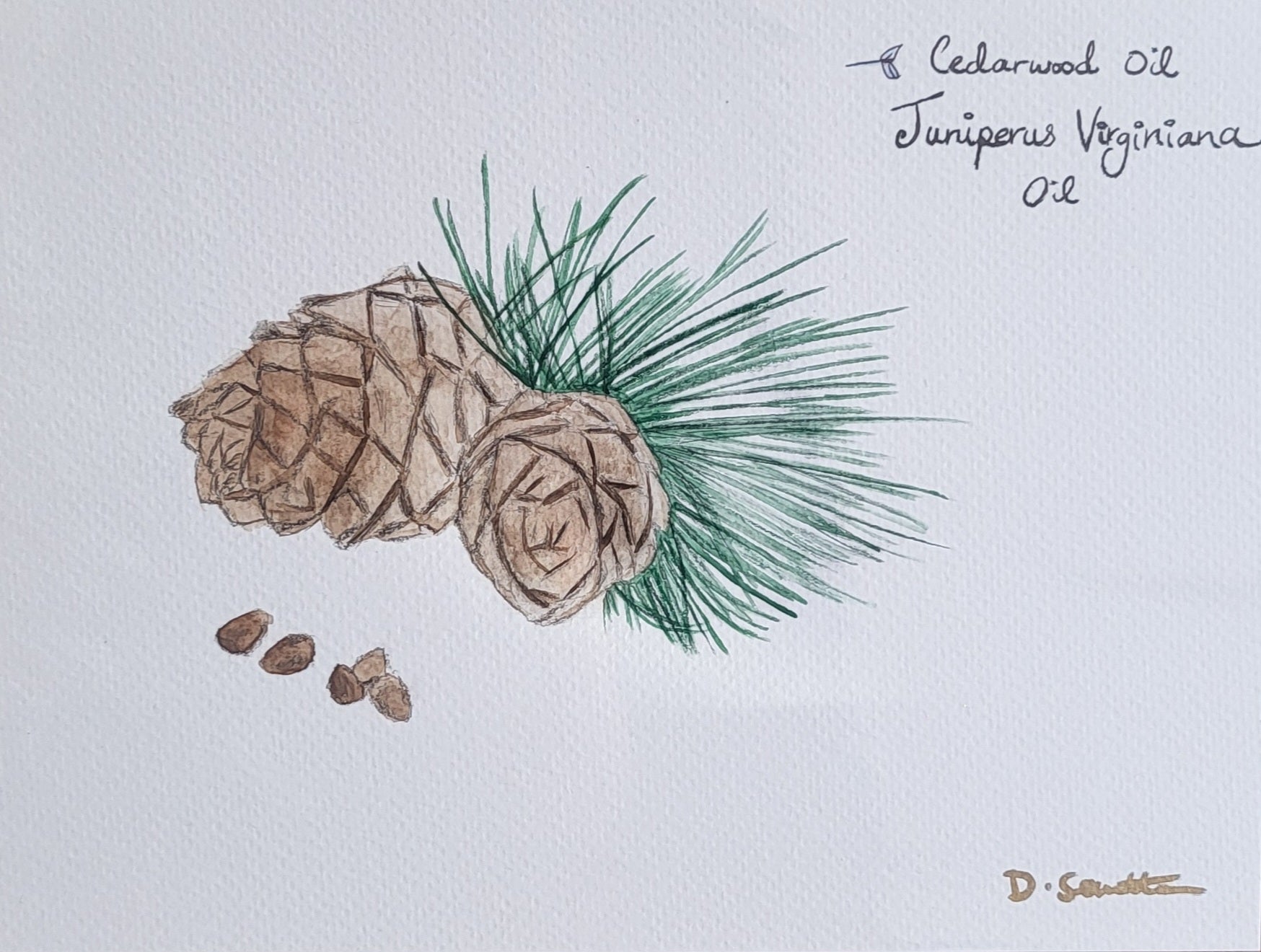 Cedarwood Oil