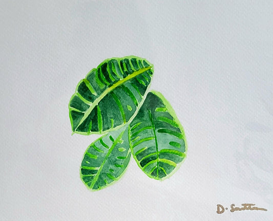 Leafy One Watercolour Painting