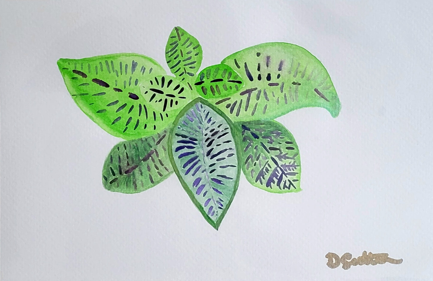 Leafy Six Watercolour Painting